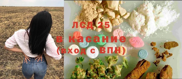 трава Надым