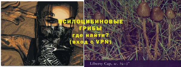 трава Надым