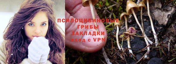 трава Надым