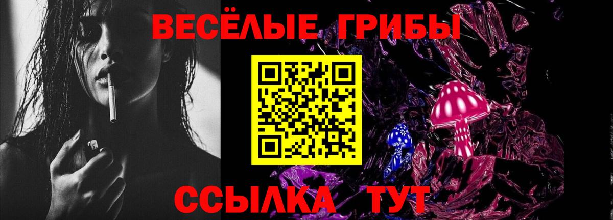 Галлюциногенные грибы Psilocybine cubensis  Вход с VPN  Галлюциногенные грибы GOLDEN TEACHER  Люберцы 